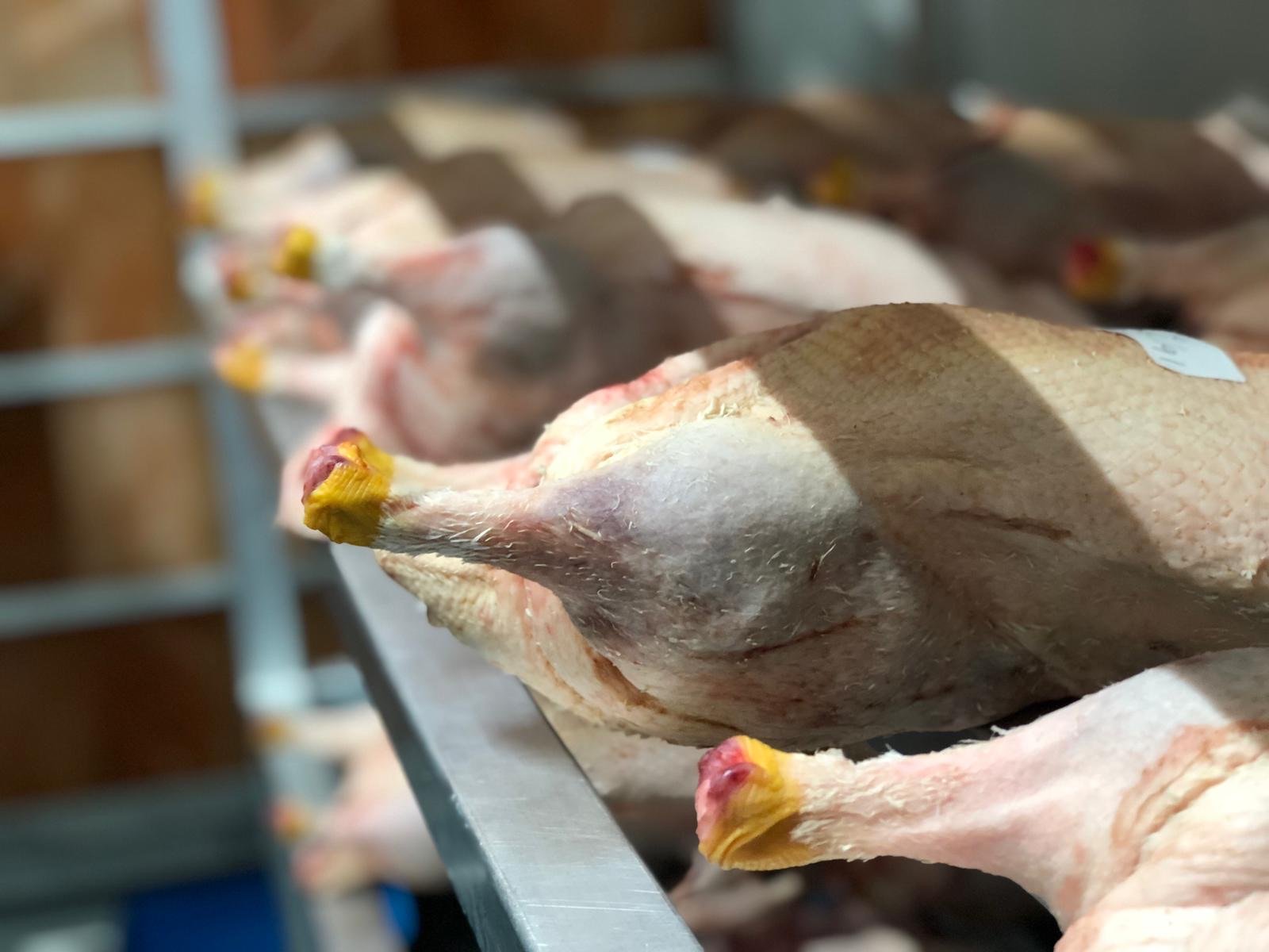 Paul Ainsworth at no 6 - Whole Free Range Duck