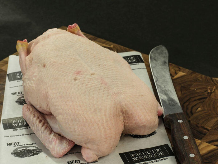 Poultry