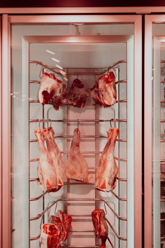Lamb