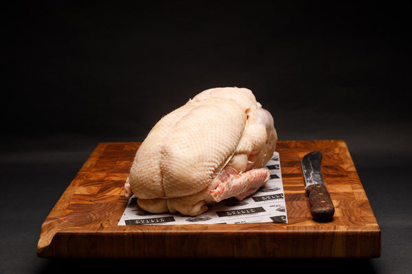 Christmas Goose