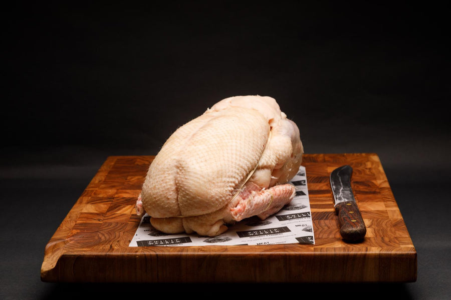 Christmas Goose